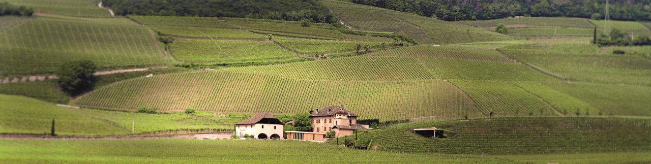 Südtirol